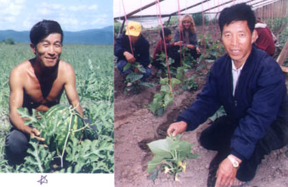 갤러리 이미지